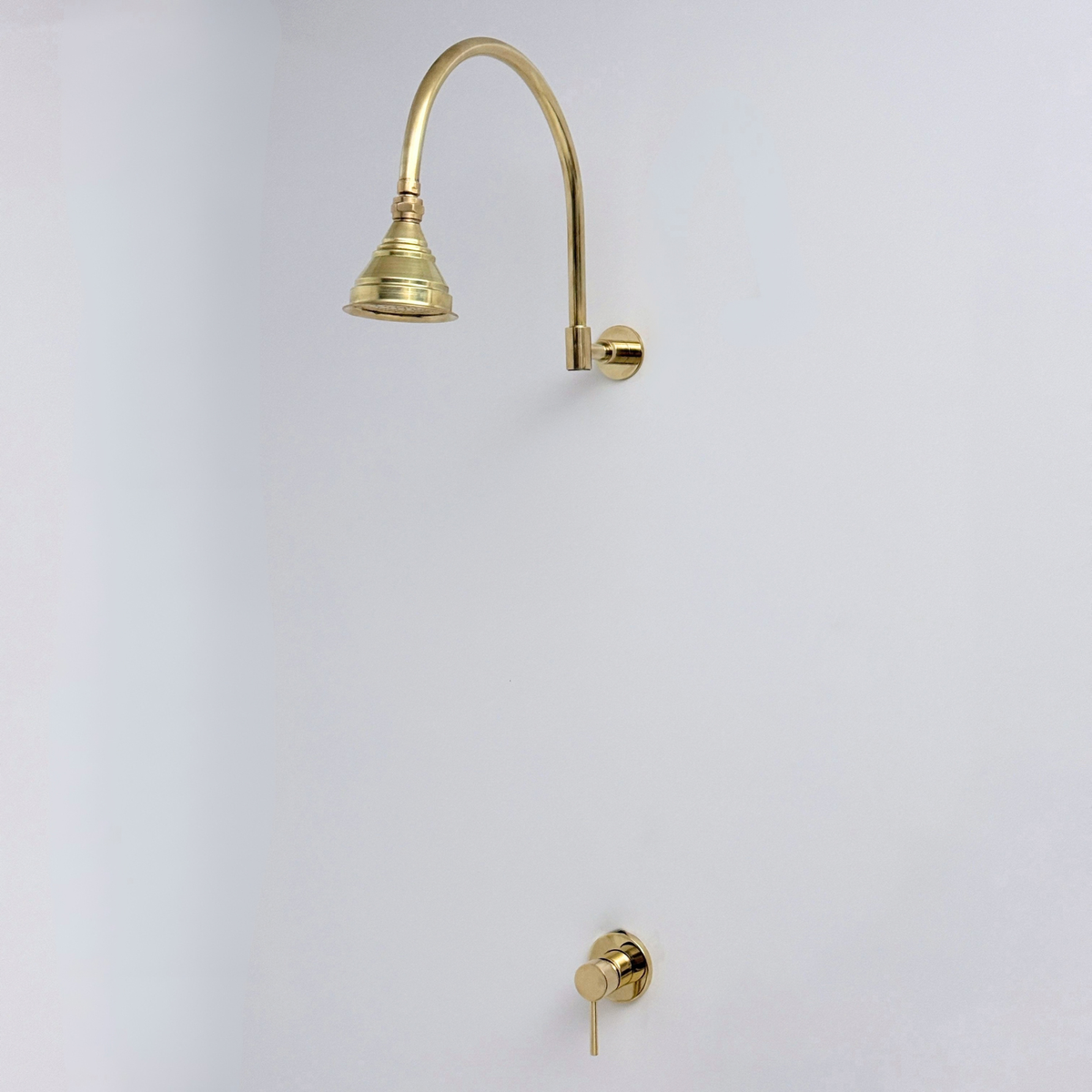 Unlacquered Brass Concealed Dome Rain Shower System with Gooseneck Arm, 4"