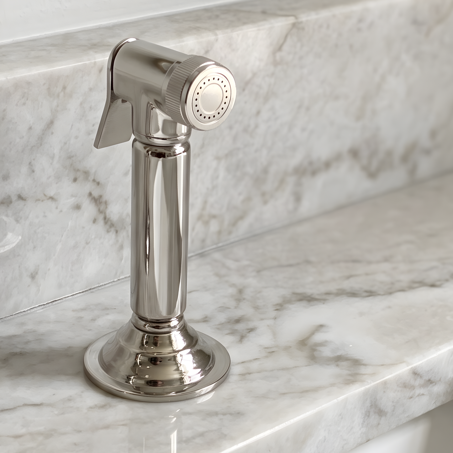 Polished Nickel Kitchen Side Sprayer
