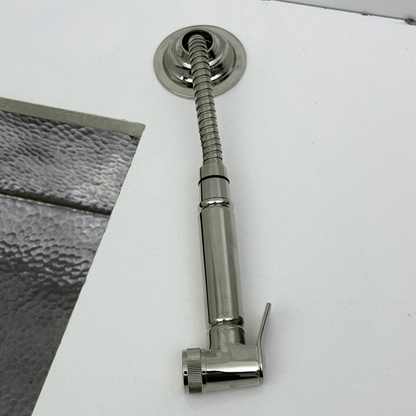 Polished Nickel Kitchen Side Sprayer