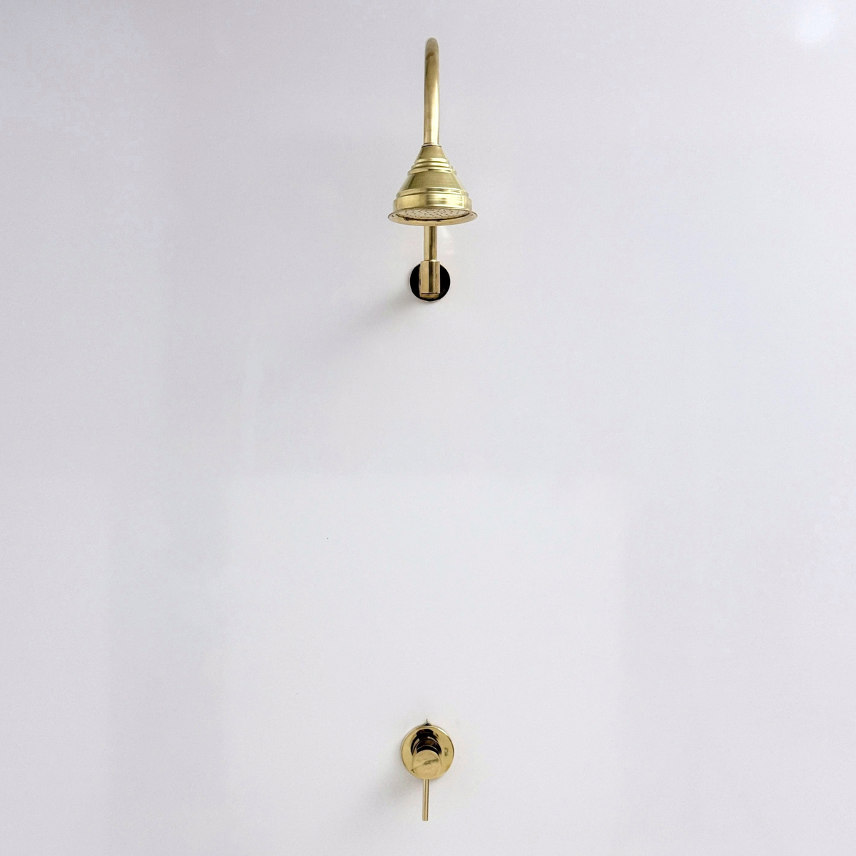Unlacquered Brass Concealed Dome Rain Shower System with Gooseneck Arm, 4"
