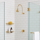 Unlacquered Brass Concealed Dome Rain Shower System with Gooseneck Arm, 4"