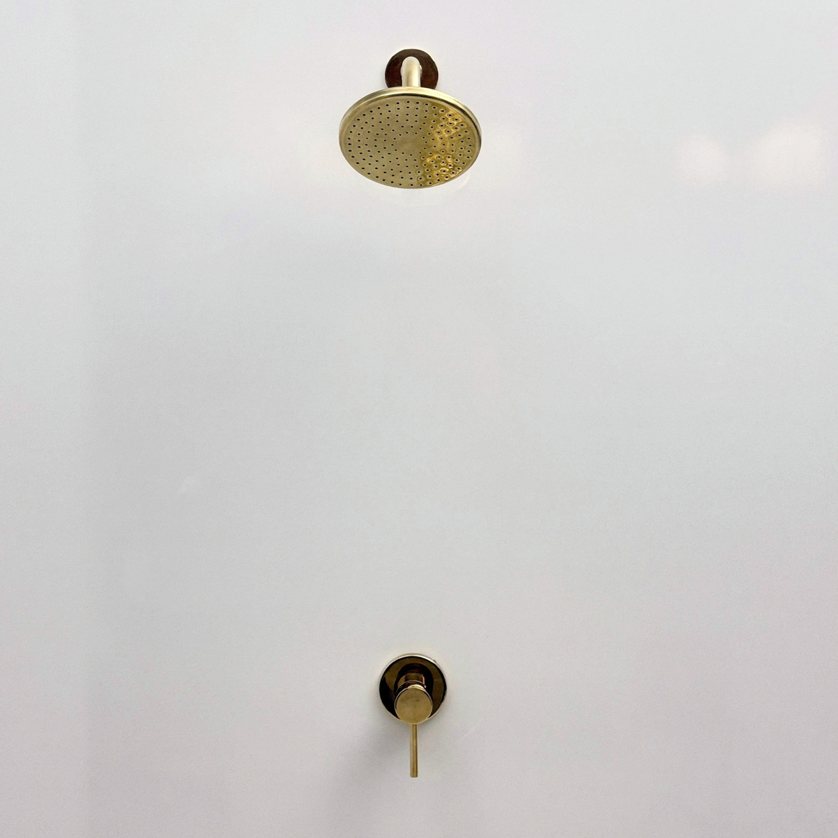 Unlacquered Brass Concealed Shower System with Round Swivel Head