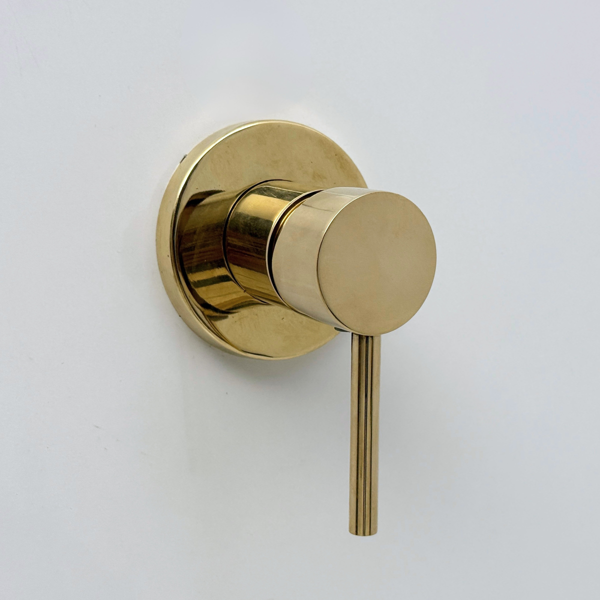 Unlacquered Brass Concealed Shower System with Round Swivel Head