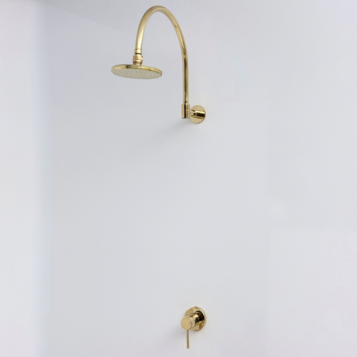 Unlacquered Brass Concealed Round Rain Shower System with Gooseneck Arm, 6"