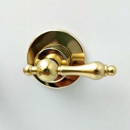 Grifo de pared de latón sin lacar, grifo de cuello de cisne con manijas de palanca - Ref: WFL004
