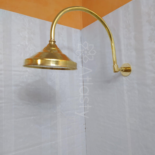 Pommeau de douche rond en laiton avec bras arqué en laiton, pommeau de douche extérieur et intérieur