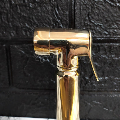 Unlacquered Brass Bridge Kitchen Faucet with Sprayer,  and Lever Handles - Ref: APL-98